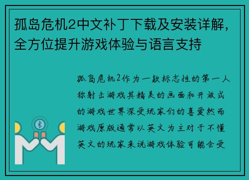 孤岛危机2中文补丁下载及安装详解，全方位提升游戏体验与语言支持